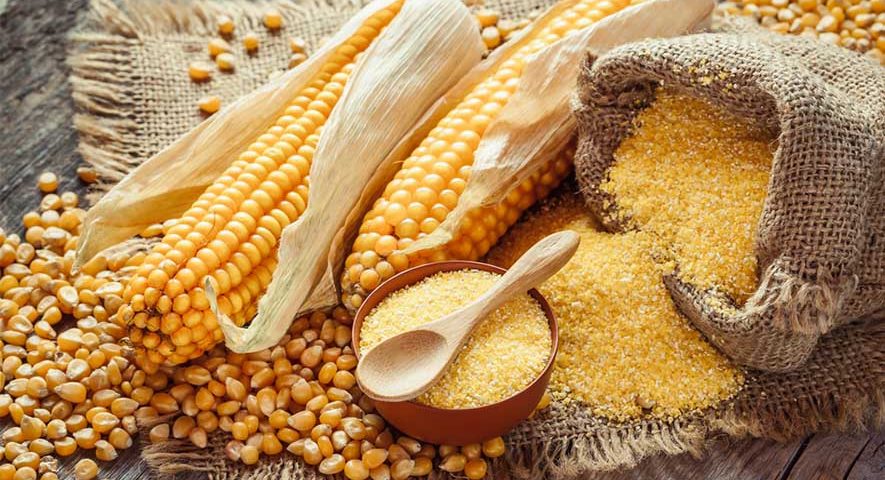 corn snack production روش تولید اسنک